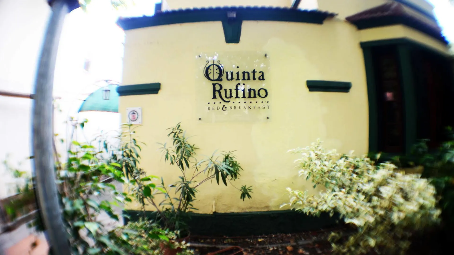 Quinta Rufino Bed & Breakfast Mendoza